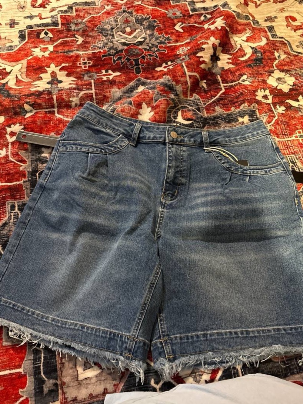 Flamingals distressed shorts XL ZZ3-1